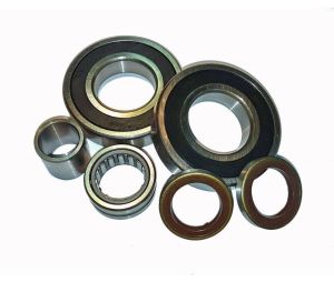 Jeu de roulement, Delstar 300 Serie 4900-2101K