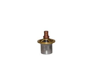 Thermostat 49 °C