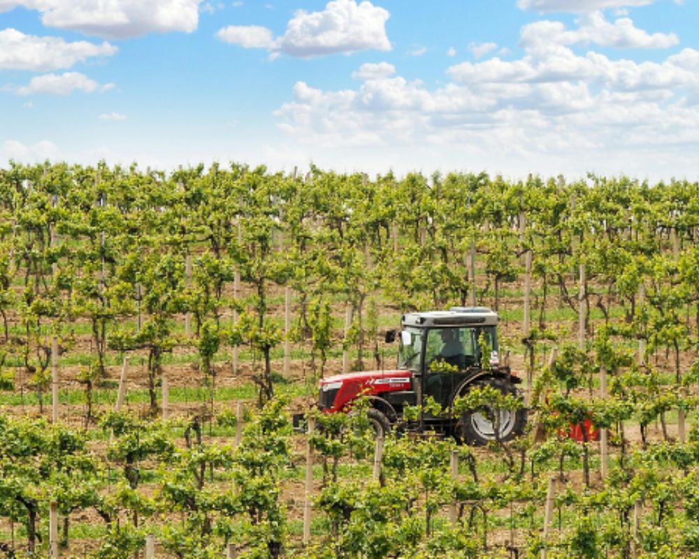 AGRICULTURE.jpg
